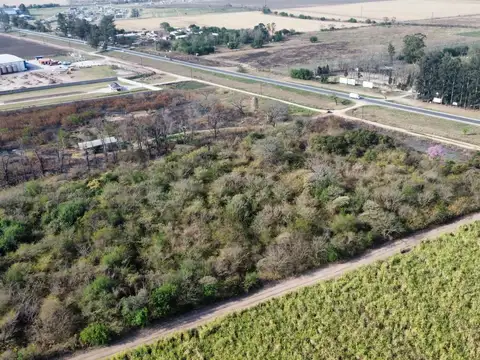 Terreno industrial en Ruta Nacional 9, Km 1281, San Andrés, Dpto. Cruz Alta, Tucumán