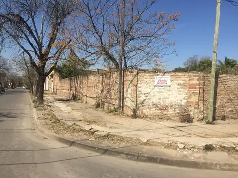 Libertad 800