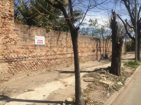 Libertad 800