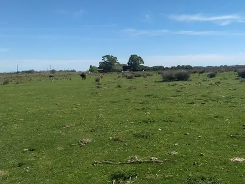 Campo en Venta Mixto