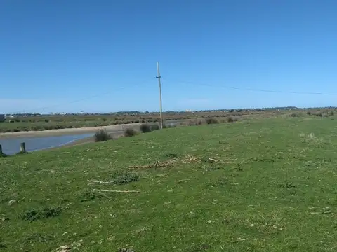 Campo en Venta de 507  ha