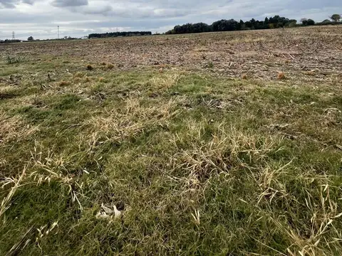 CAMPO 5 HAS EN VENTA EN PEREZ
