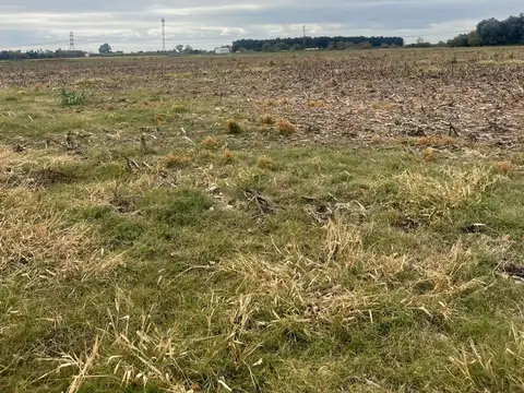 CAMPO 5 HAS EN VENTA EN PEREZ
