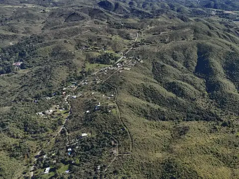 Camino De Los Pioneros 100