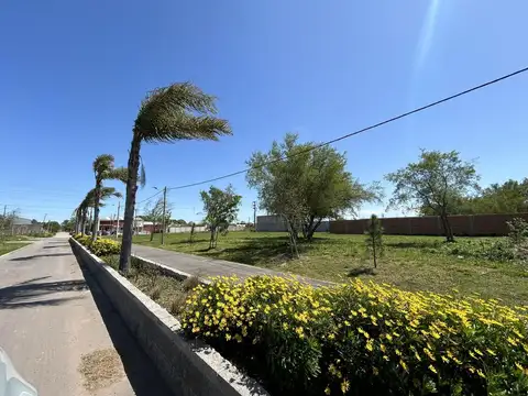 Terreno en Venta 12  mts Frente