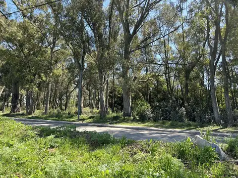 Terreno en Venta en Longchamps, USD 32.000