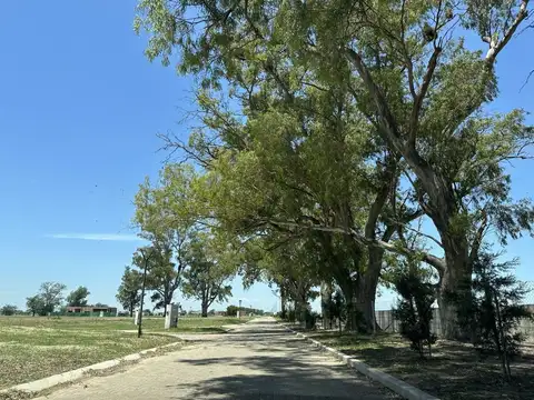 Terreno en Venta en Countries y Barrios Cerrados en San Vicente, USD 38.000