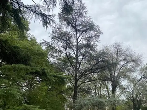 Av. Storni 1668, La Reja, Provincia De Buenos Aires, Argentina