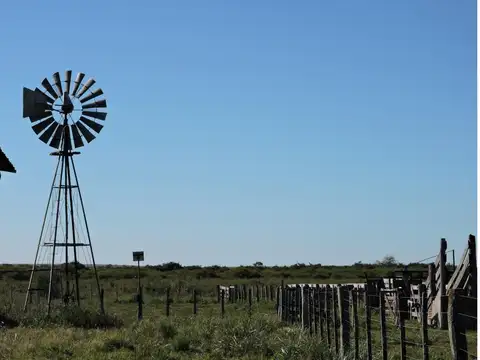 Campo en Venta de 230  ha