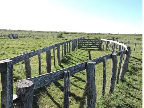 Campo de 230 Hás. en Gualeguaychú.