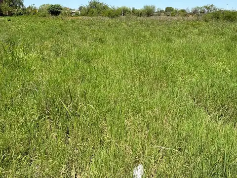 Terreno en Venta 10  mts Frente