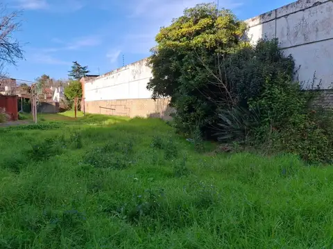 Terreno en Alquiler 52  mts Fondo
