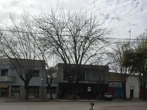 30 e/ 27 y 29 - Veronica