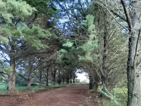 Pueblo Edén/Ruta 12