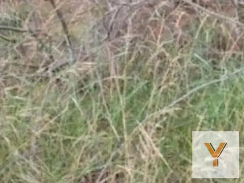Terreno en venta - 394Mts2 - Chapadmalal, General Pueyrredón