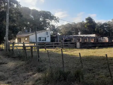 RUTA 10 100