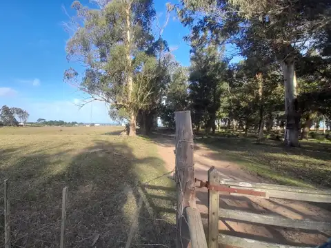 Quinta - Venta - Uruguay, Rocha