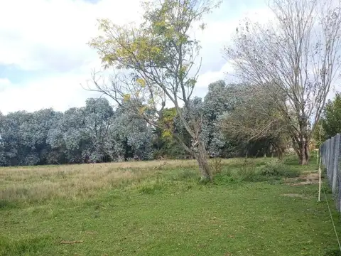 Campo en Venta Chacra