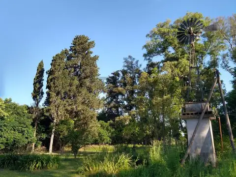 Venta de Campo de 8,6 has con casa a reciclar en Cortines, Luján - ACEPTA FINANCIACION