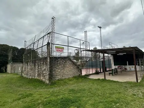 Caraguata y Los Aromos