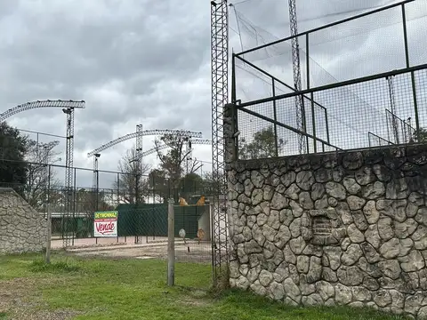 Caraguata y Los Aromos