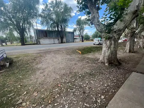 Local en Alquiler A Estrenar