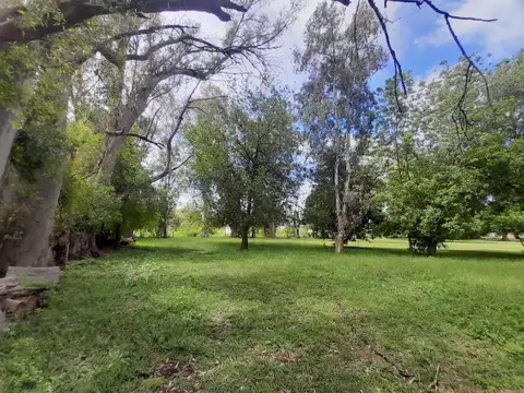 VENTA Terreno hectarea arbolada  en  Carabassa, Pilar