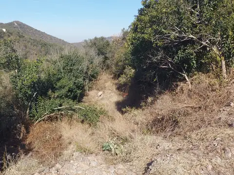 Terreno en Venta de 11403,0 m2