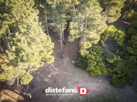 Terreno en Venta en Pinamar, USD 90.000