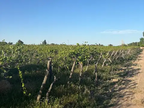 Terreno en Venta en Algarrobal Arriba, USD 120.000