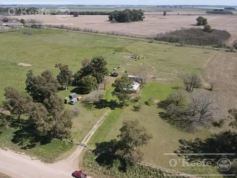 CHACRA de 15 has en venta - Disfrute y producciòn a 1000 mts de Ruta 29, en el Partido de General Belgrano.