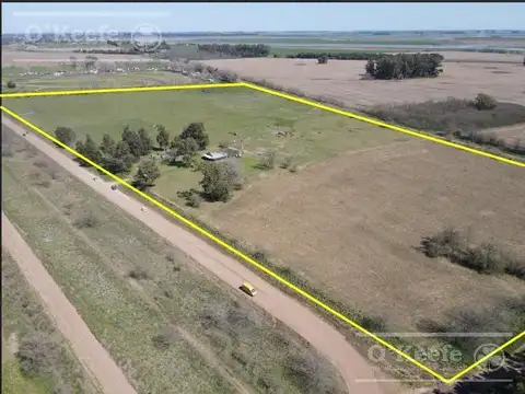 CHACRA de 15 has en venta - Disfrute y producciòn a 1000 mts de Ruta 29, en el Partido de General Belgrano.
