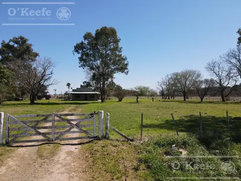 CHACRA de 15 has en venta - Disfrute y producción a 1000 mts de Ruta 29, en el Partido de General Be