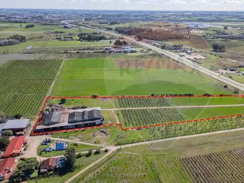 Galpon en Venta en Canelones, USD 1.350.000