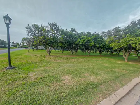 Terreno en Venta 28  mts Frente