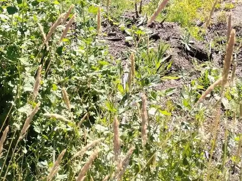 Terreno en Venta en Villa Correntoso, USD 57.000