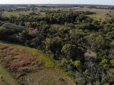 TERRENO SOBRE RÍO NEGRO - ÚNICO