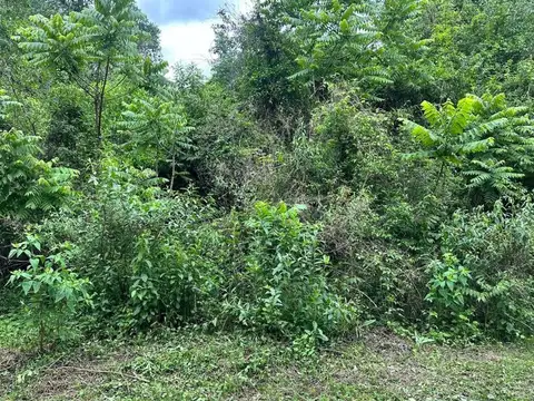 La Caldera. El Durazno. Mza 99. Lote 100