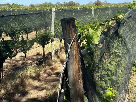 Campo en Venta con Alambrado