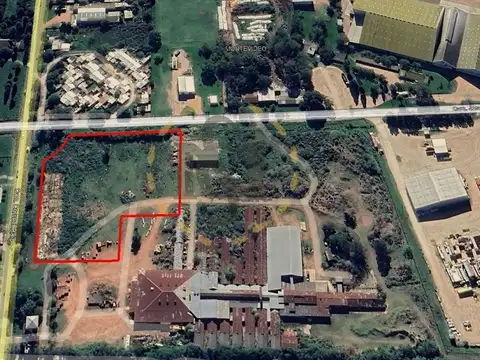RAIZ, CNO. CORONEL 100