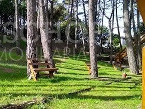 LOS CONDORES Y BARLOVENTO