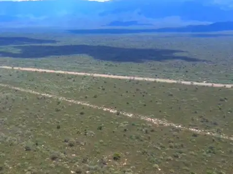 Campo en venta - 7.252Mts2 - Bazán