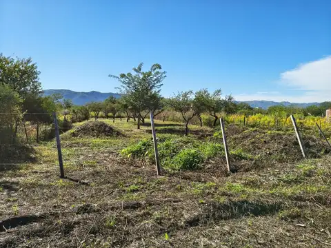 Terreno en Venta de 900,0 m2