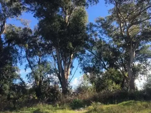 Terreno en Venta en Barrio San Juan, USD 85.000