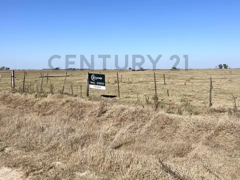 CAMPO - 20 HA - ELORTONDO