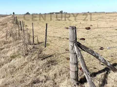 Zona Rural