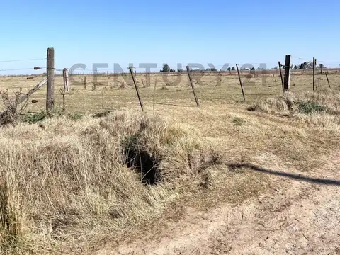 CAMPO - 20 HA - ELORTONDO