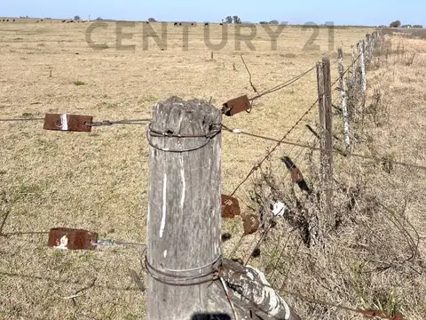 Zona Rural , Piso 0