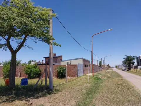 Gaston Gori  al 2800