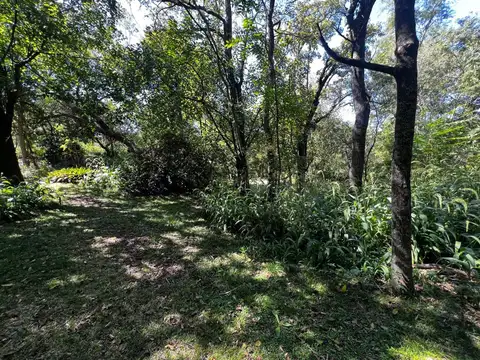 CHACRA EN VENTA PUERTO PANAL ZARATE C/ 2 CASAS